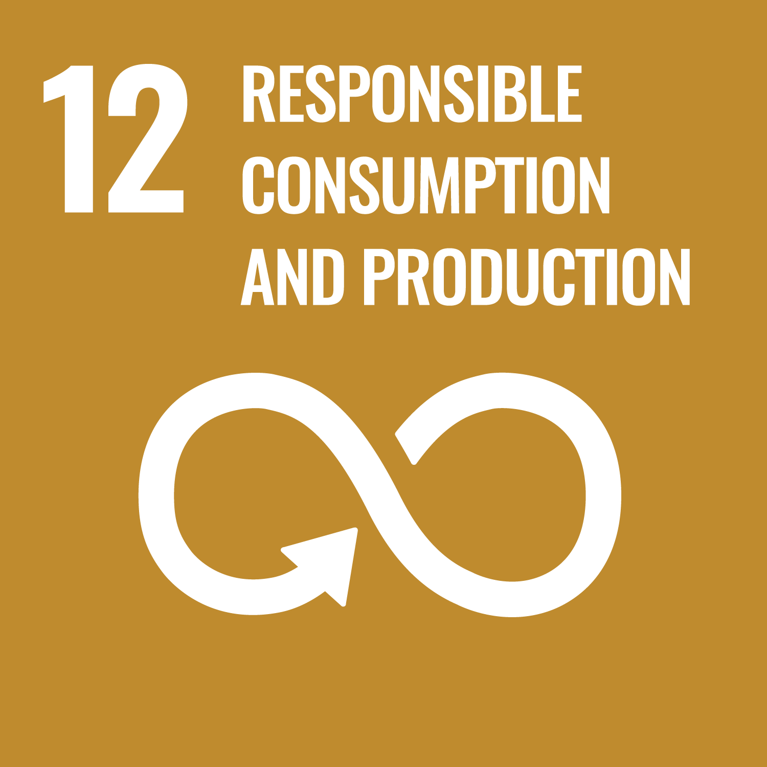 SDG 12 &mdash; Responsible Consumption and Production