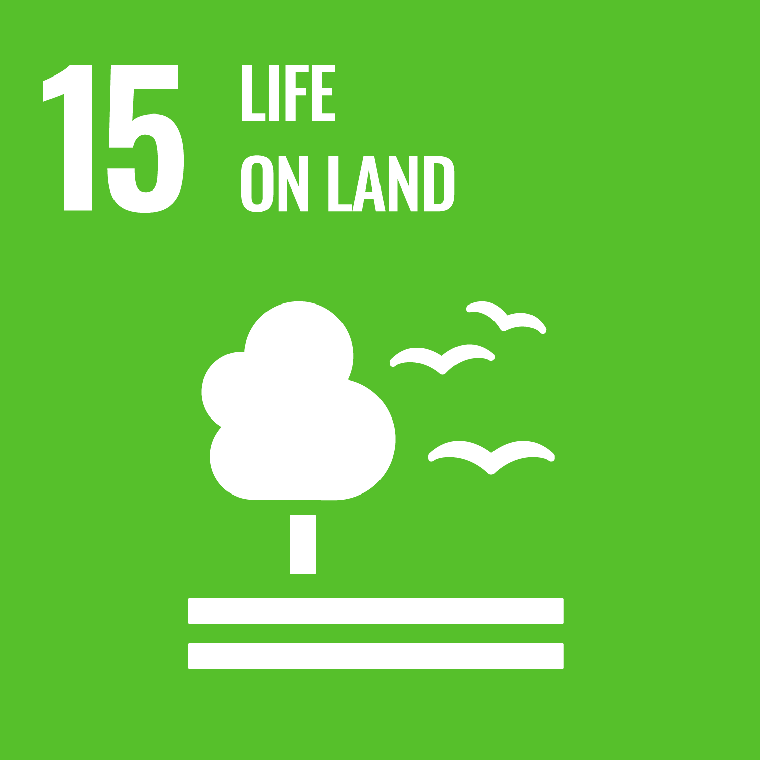 SDG 15 &mdash; Life on Land