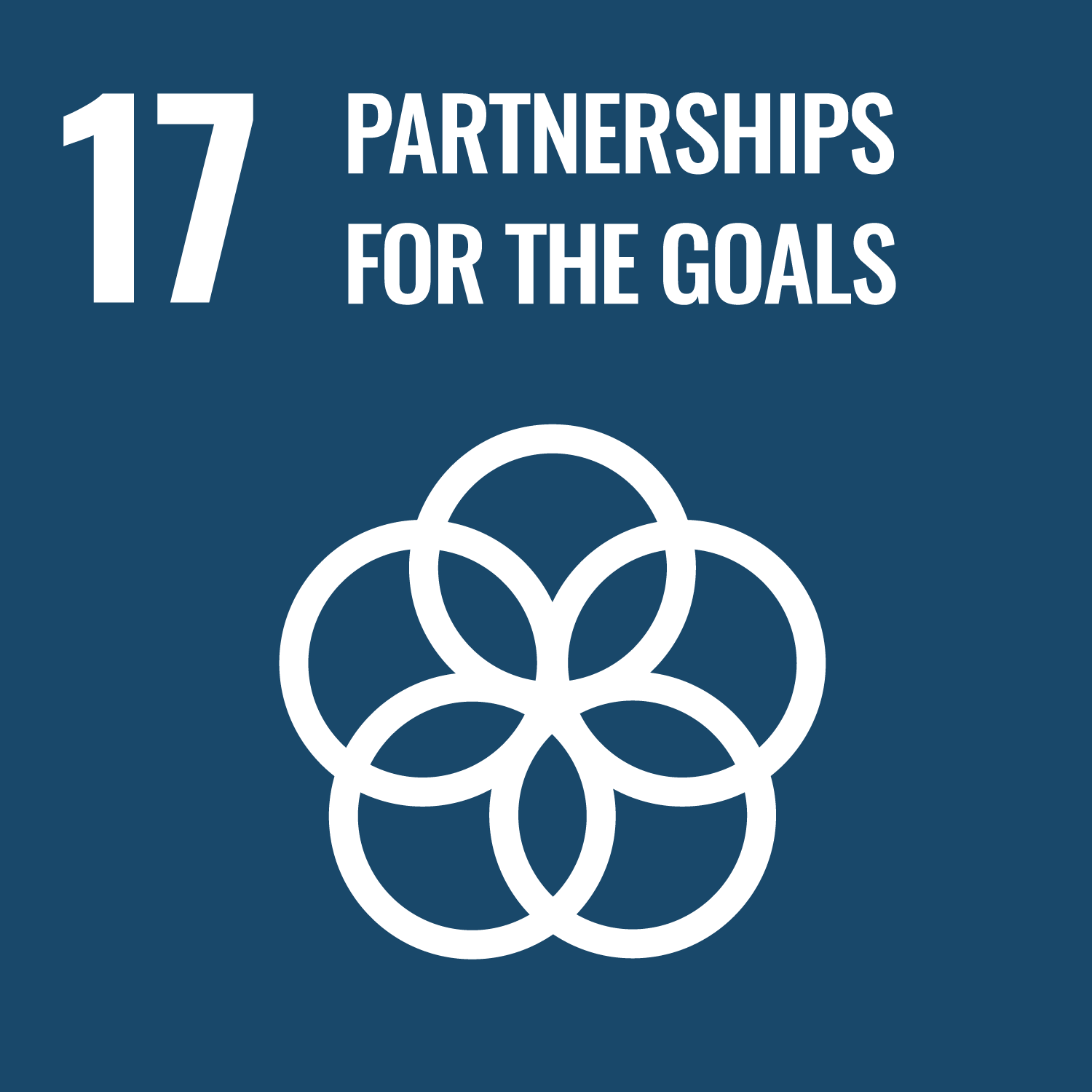 SDG 17 &mdash; Partnerships for the Goals
