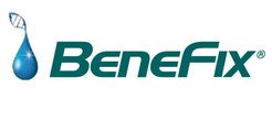Benfix